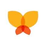 Medtelligent Favicon